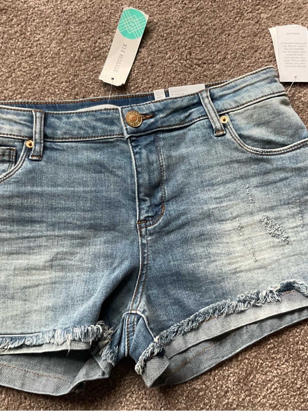 STS Blue Light Blue Frayed Hem Denim Shorts